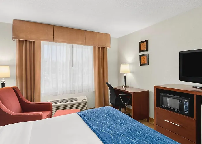 Comfort Inn & Suites Vancouver Downtown City Center