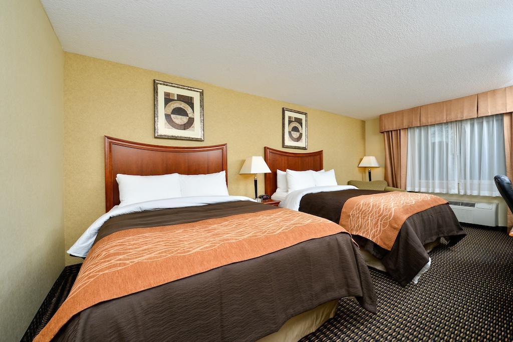 Hotel Comfort & Downtown Center