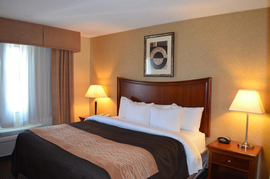 Hotel Comfort & Downtown Center Vancouver
