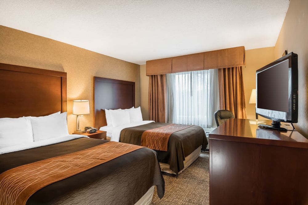 Comfort & Downtown Center Hotel 3*