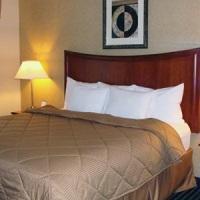 Comfort & Downtown City Center Hotel