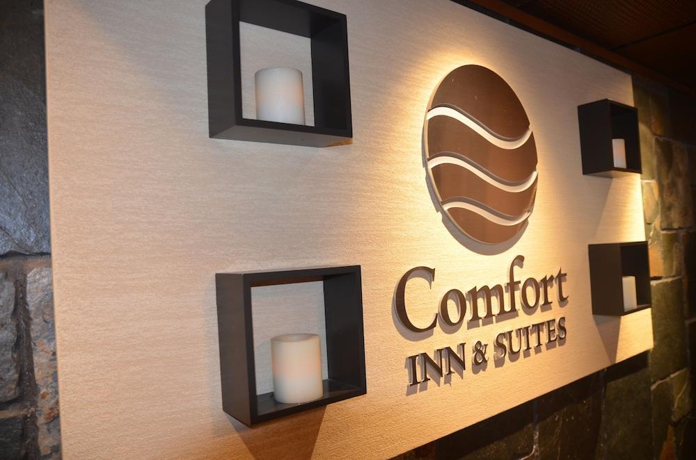 Comfort & Downtown Center Hotel