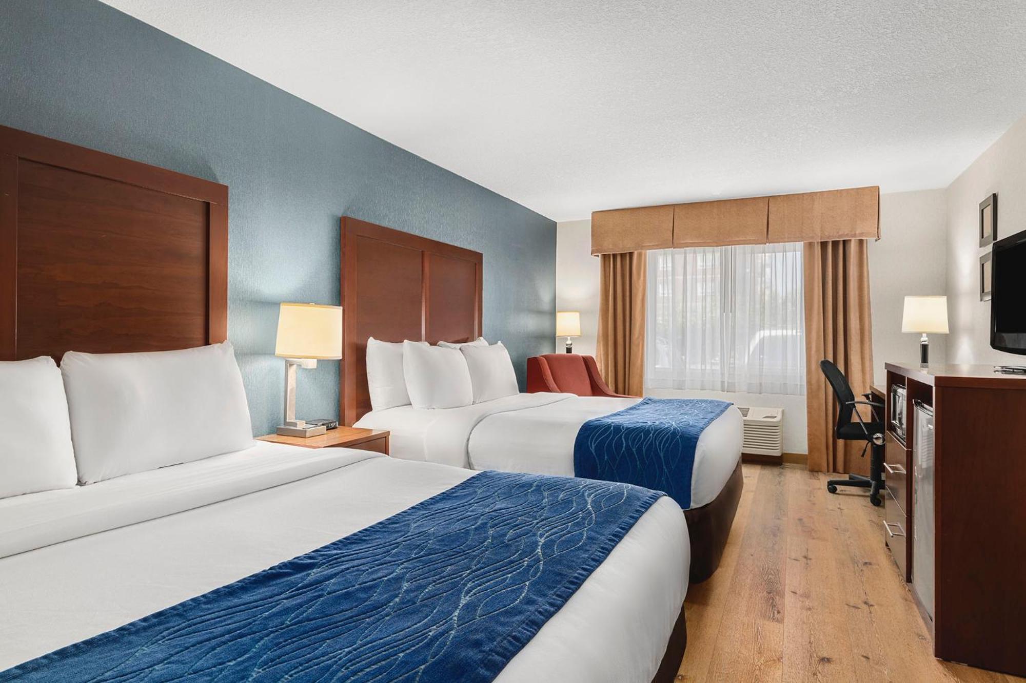 Comfort & Downtown Center 3*